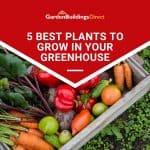 5 Best Plants To Grow In Your Greenhouse