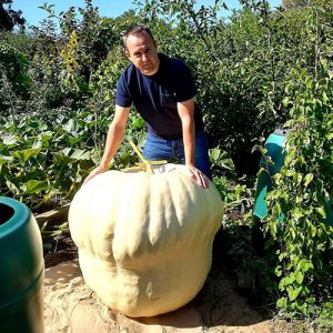 Matt Peskett of Grow Like Grandad stood with a giant pumpkin