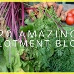 20 Amazing Allotment Blogs