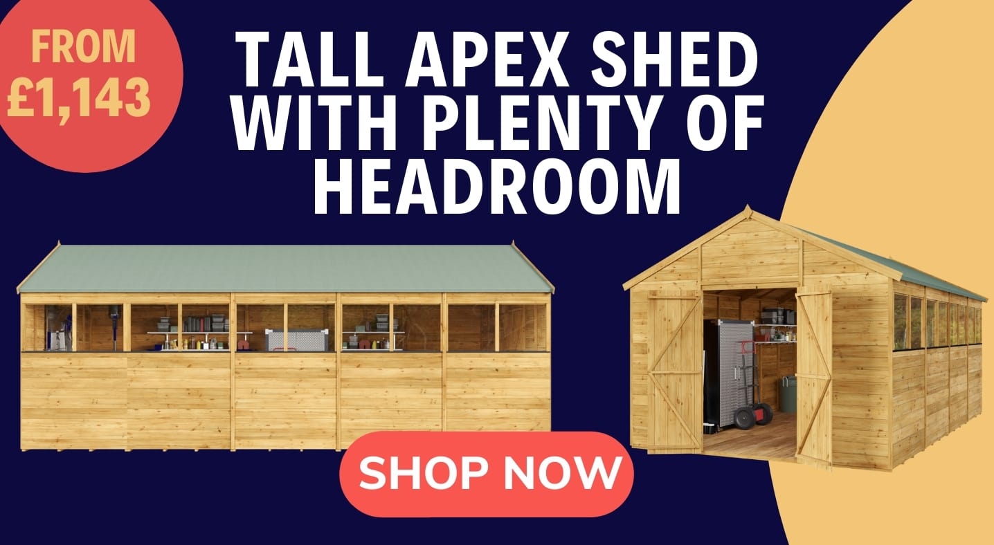 Tall Apex Shed with plenty of headroom