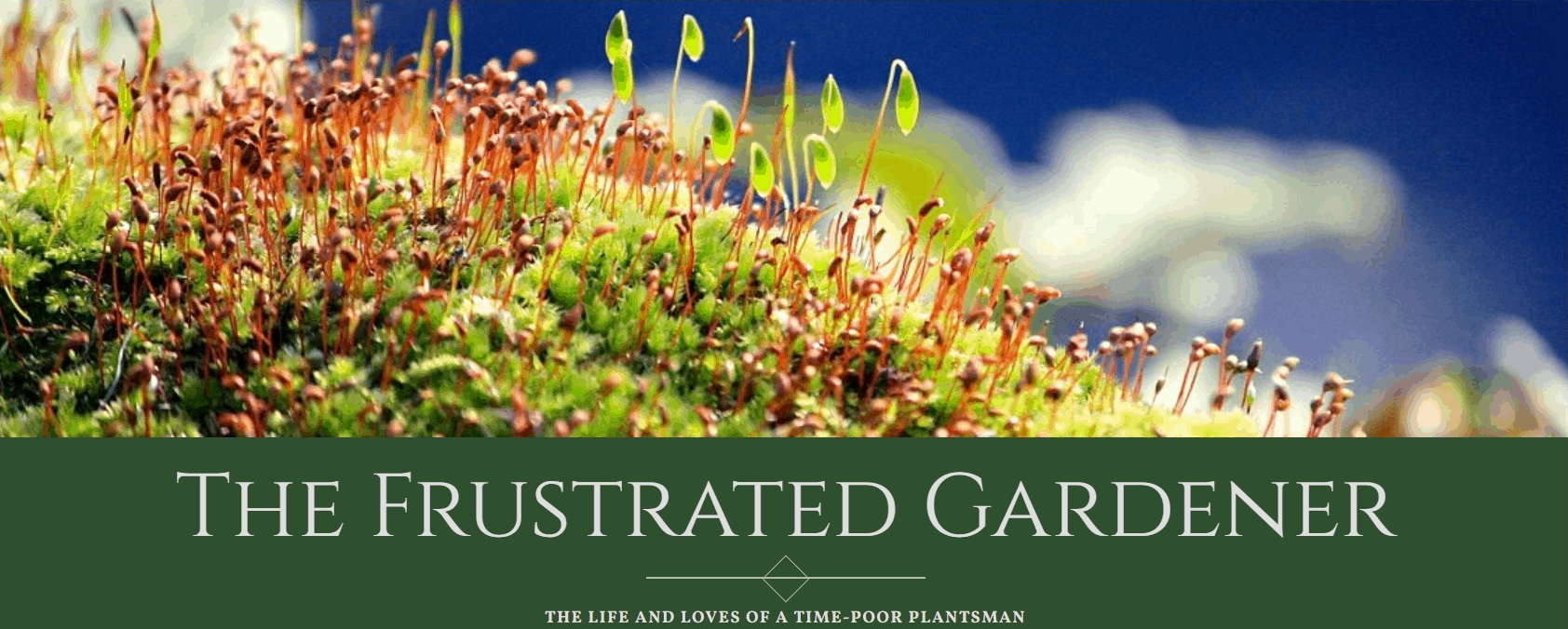 blog banner for the frustrated gardener