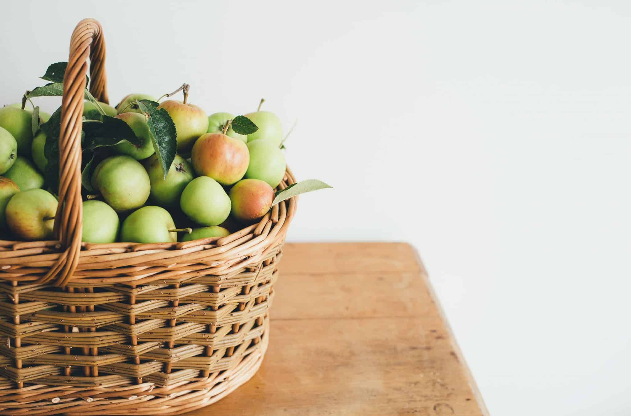 Windfall Basket of Apples on a table