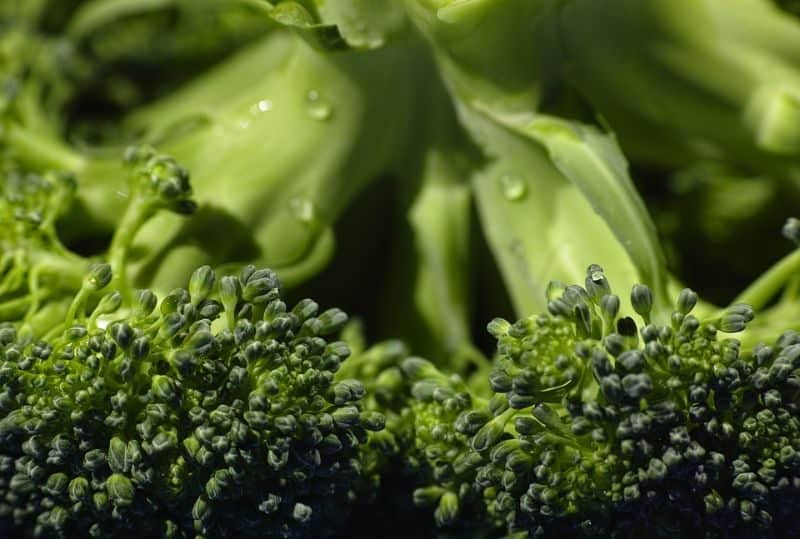 broccoli up close with water droplets on it