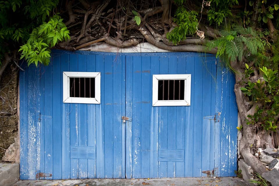 how to spider proof a shed - it can be done! garden