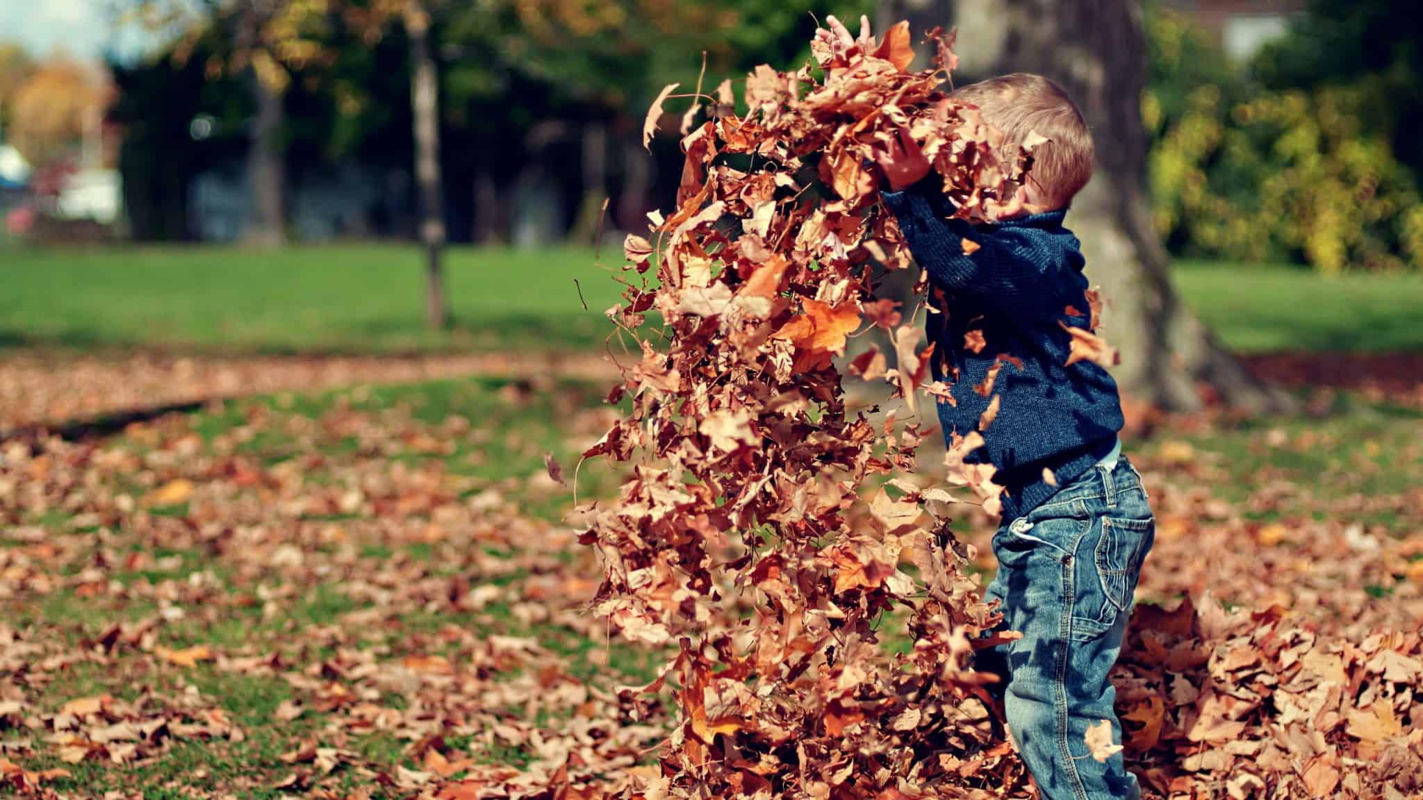 Child throwing pile of dry leaves up