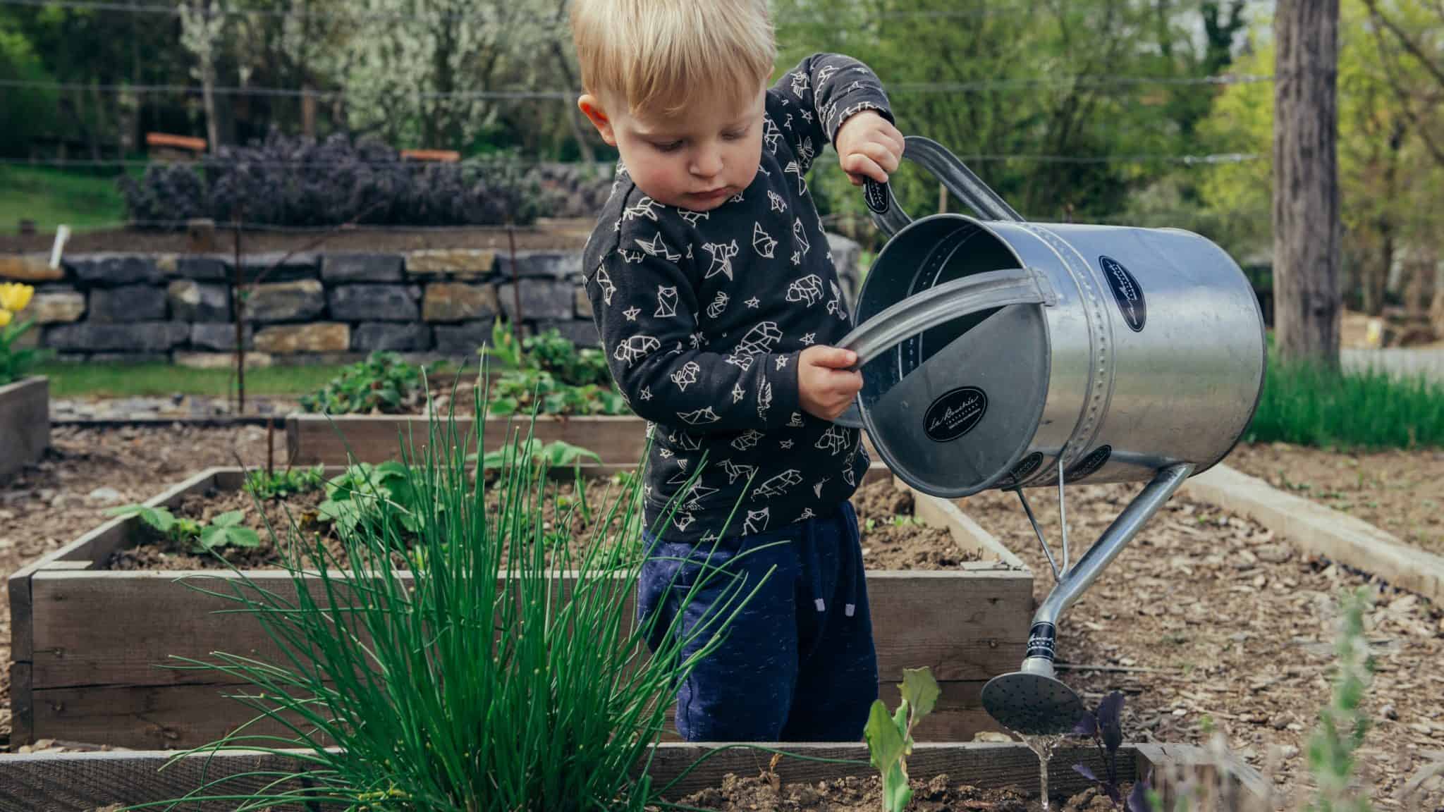 Kid with a watering can watering planters