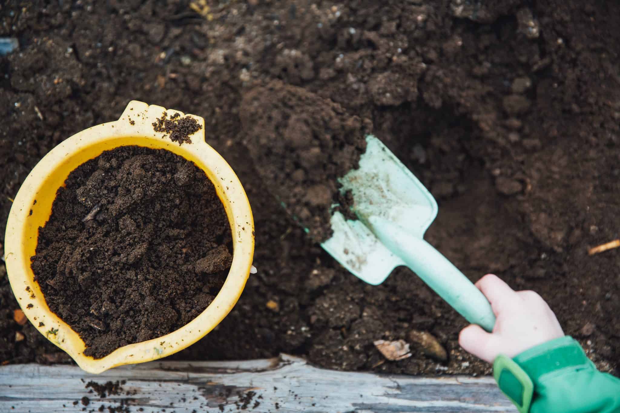 A hand holding a trowel adding compost to a yellow bucket