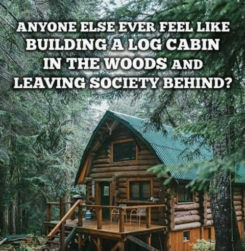 log cabin in the woods meme