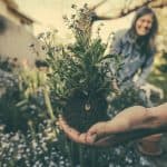 12 Reasons Why Gardening Is Good for You