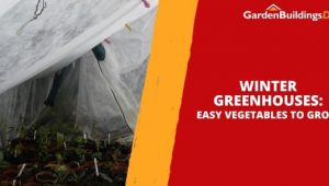 Winter Greenhouses: Easy Vegetables to Grow